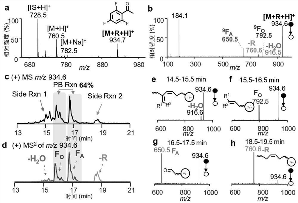 Acetophenone Derivatives Applied to Unsaturated Lipid Analysis Method