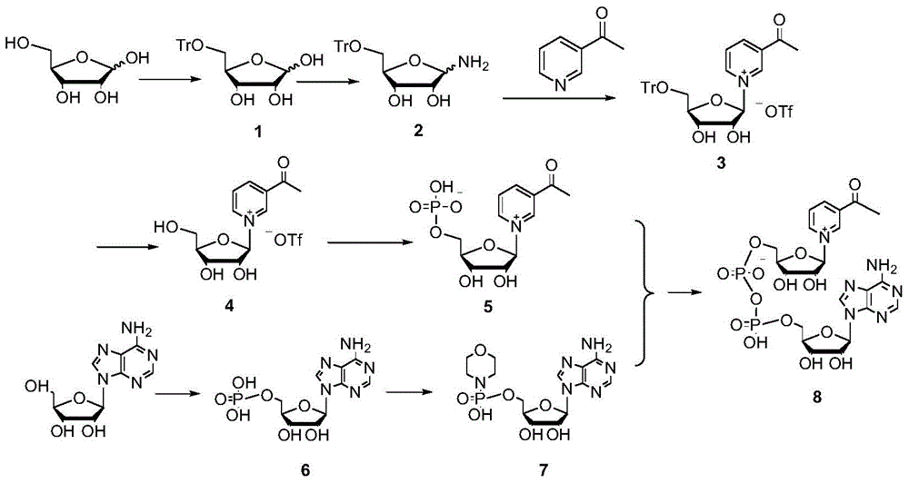 Synthetic method of 3-acetylpyridine adenine dinucleotide