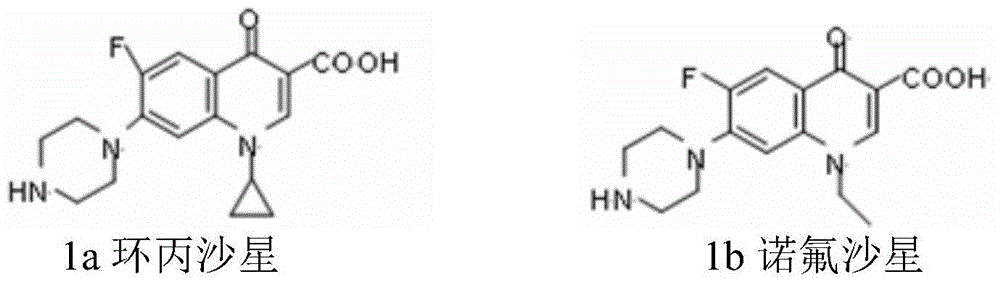 Ferrocene-quinolone amide compound as well as preparation method and application thereof