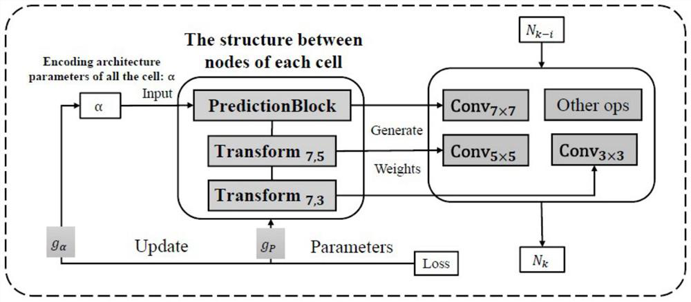 Neural network architecture search method based on convolution kernel prediction