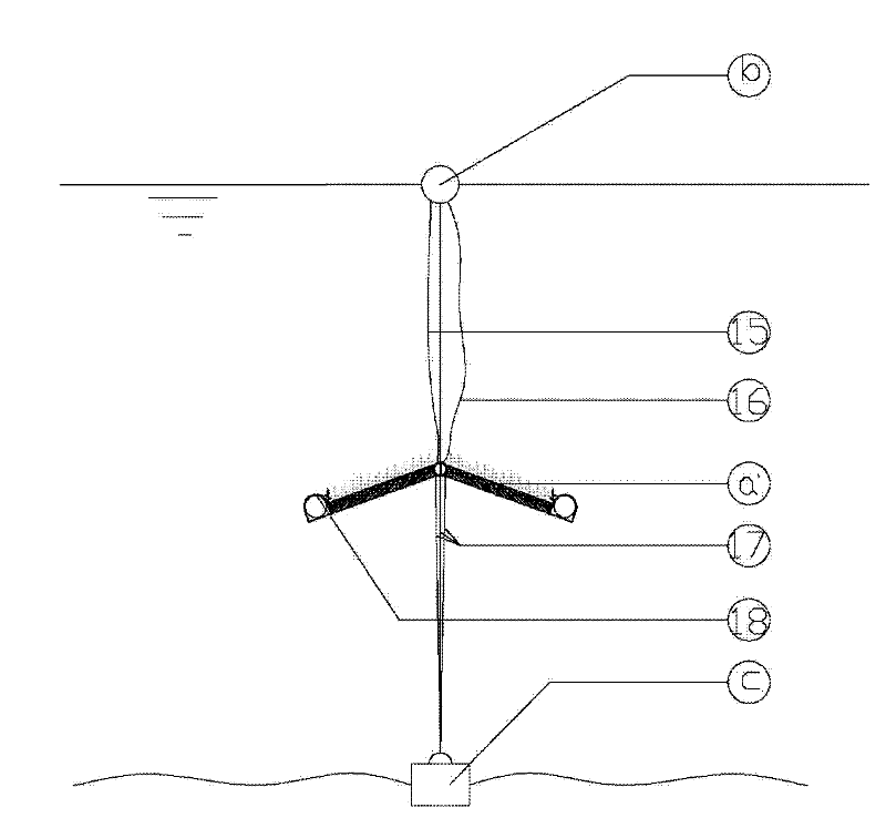 Aquatic plant space construction system for water body purification