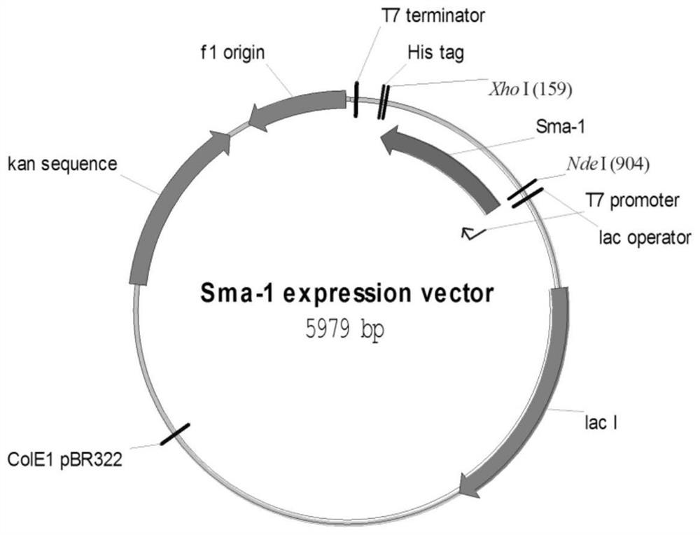 A kind of ketoreductase mutant used for producing darunavir intermediate