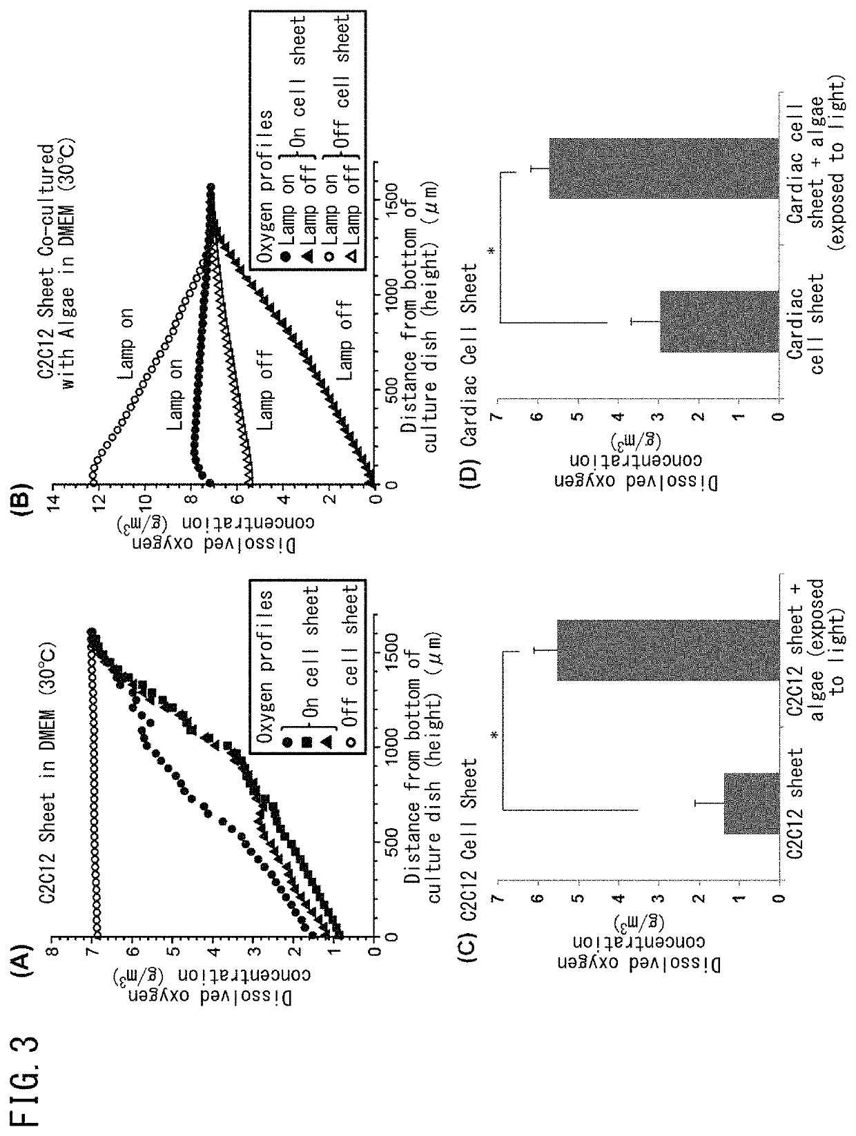 Method for culturing animal cell composition, method for producing animal cell composition using same, and animal cell composition