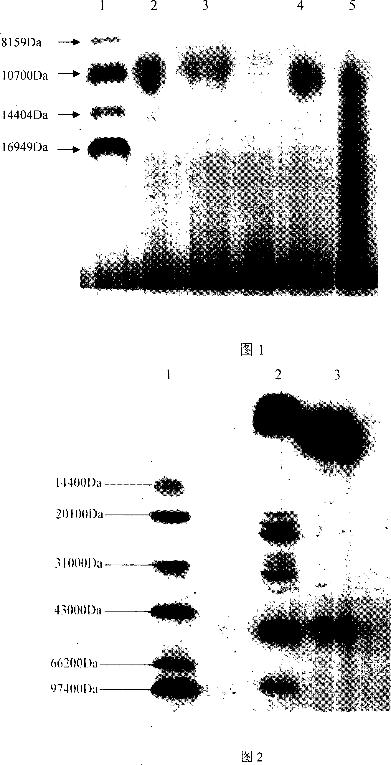 Method for the preservation of biological activity of activity polypeptides agent which is made from plants and is took orally for reducing blood suger