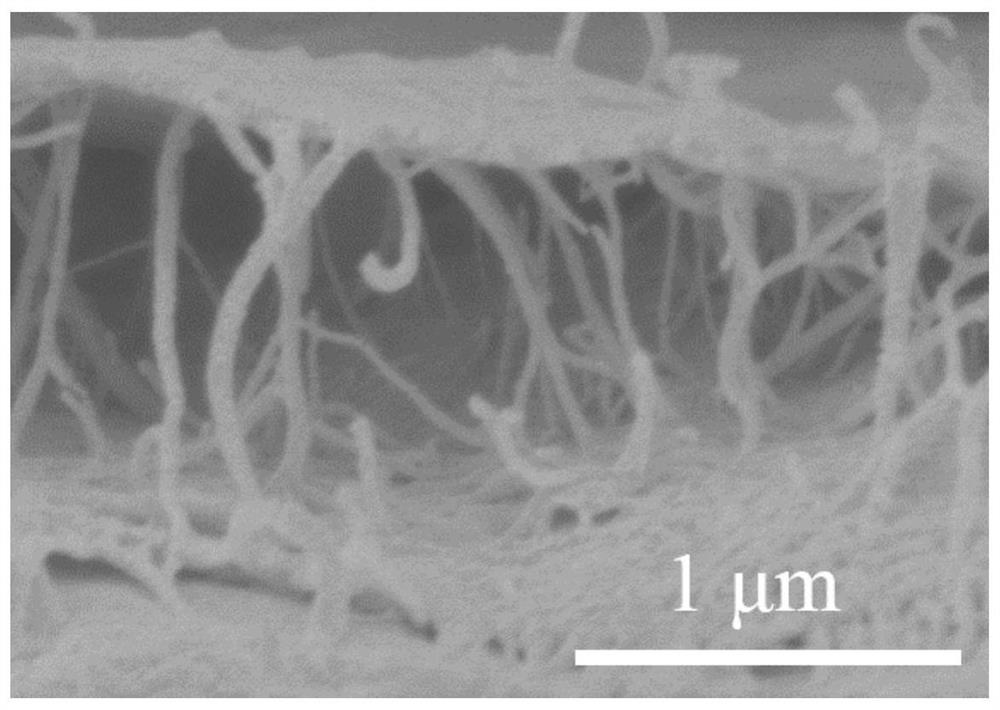Bending-resistant carbon nanotube/graphene composite film, its preparation method and application