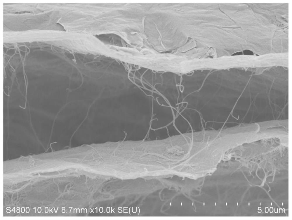 Bending-resistant carbon nanotube/graphene composite film, its preparation method and application
