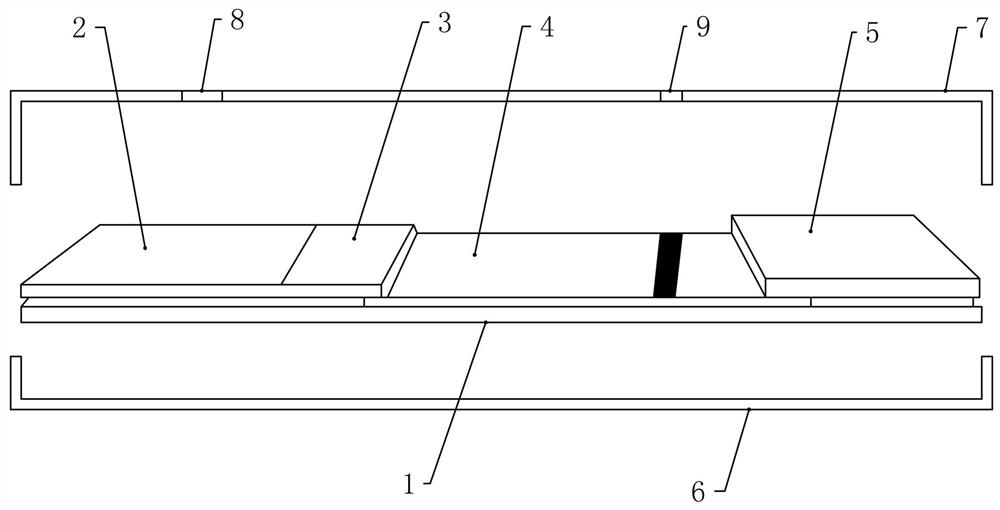 Detection system of dry chemiluminescence method