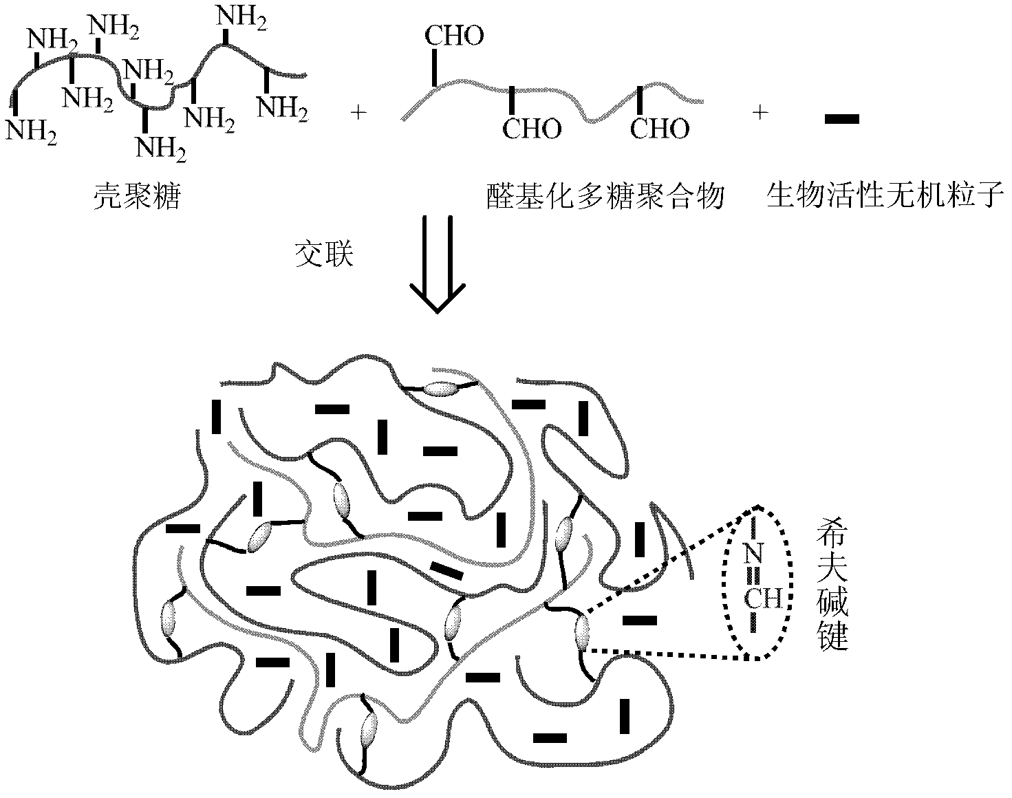 Preparation method for chitosan-based porous scaffolds with biological activity