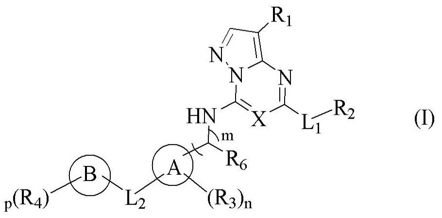 Pyrazolo[1,5-a][1,3,5]triazine and pyrazolo[1,5-a]pyrimidine derivatives useful as cdk inhibitors