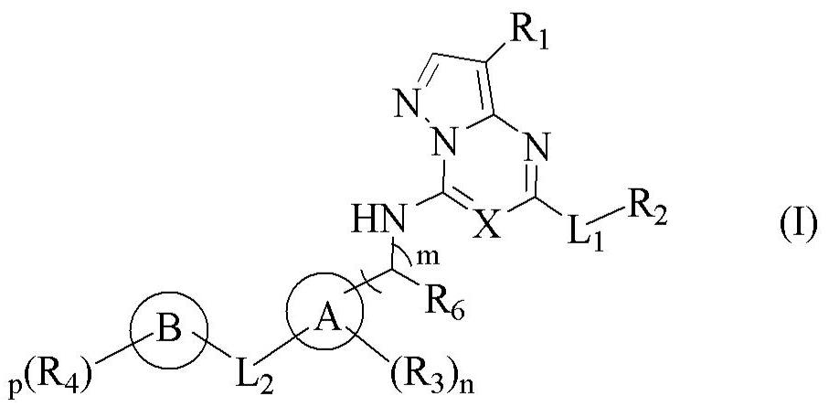 Pyrazolo[1,5-a][1,3,5]triazine and pyrazolo[1,5-a]pyrimidine derivatives useful as cdk inhibitors