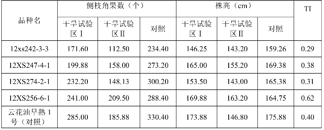 A method for identifying the drought tolerance of early-maturing rapeseed flowering stage under field conditions