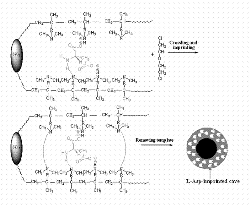 Preparation method of new material for separating chiral aspartic acid