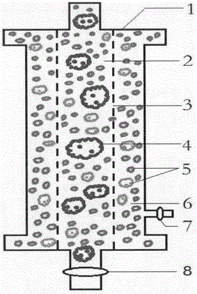 Therapeutic apparatus for treating maternal-fetal blood group incompatibility-type hemolytic disease