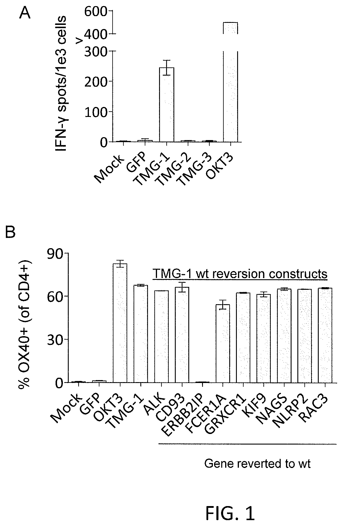 Methods of isolating T cells having antigenic specificity for a cancer-specific mutation