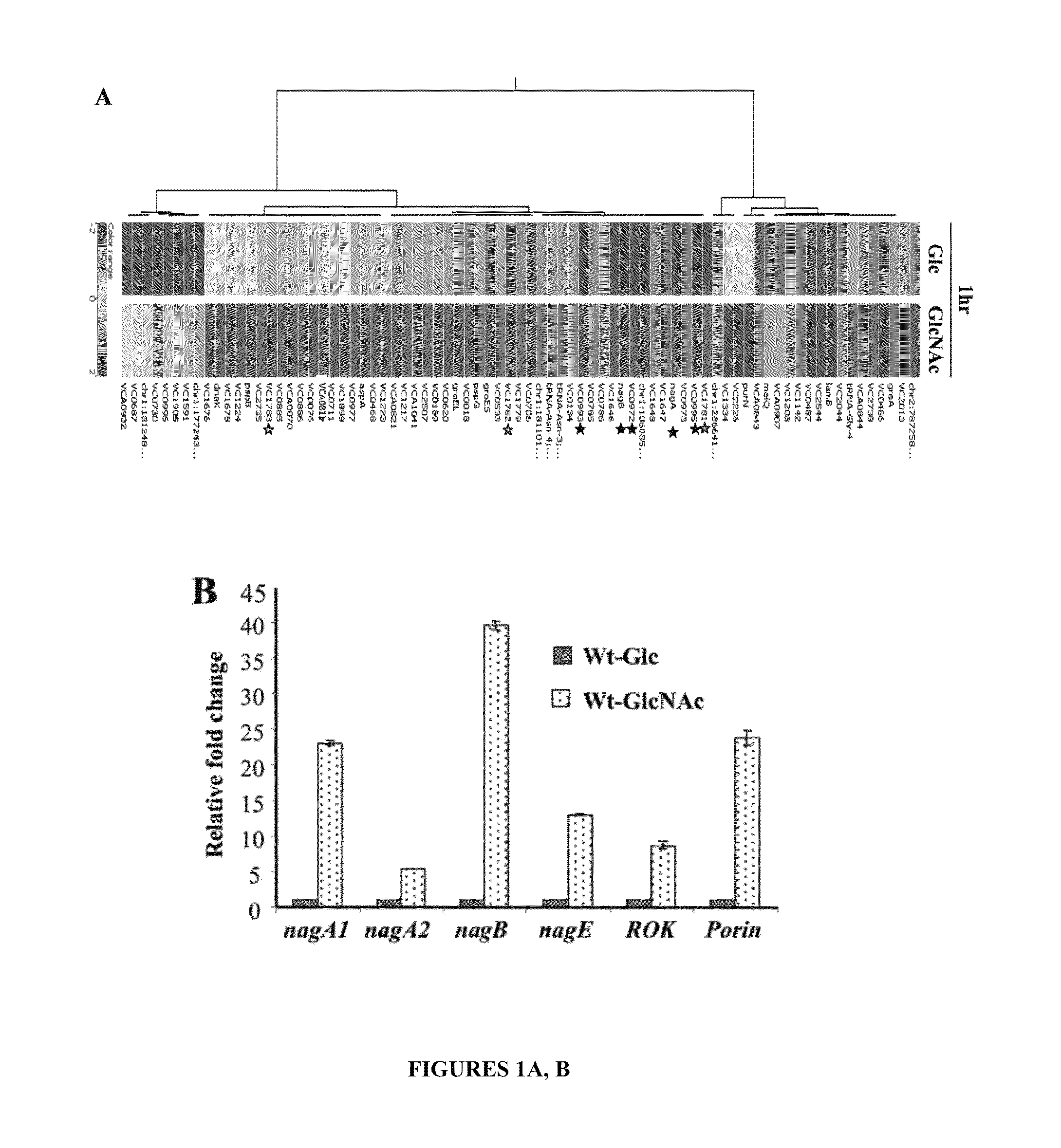 Recombinant microorganisms and uses thereof