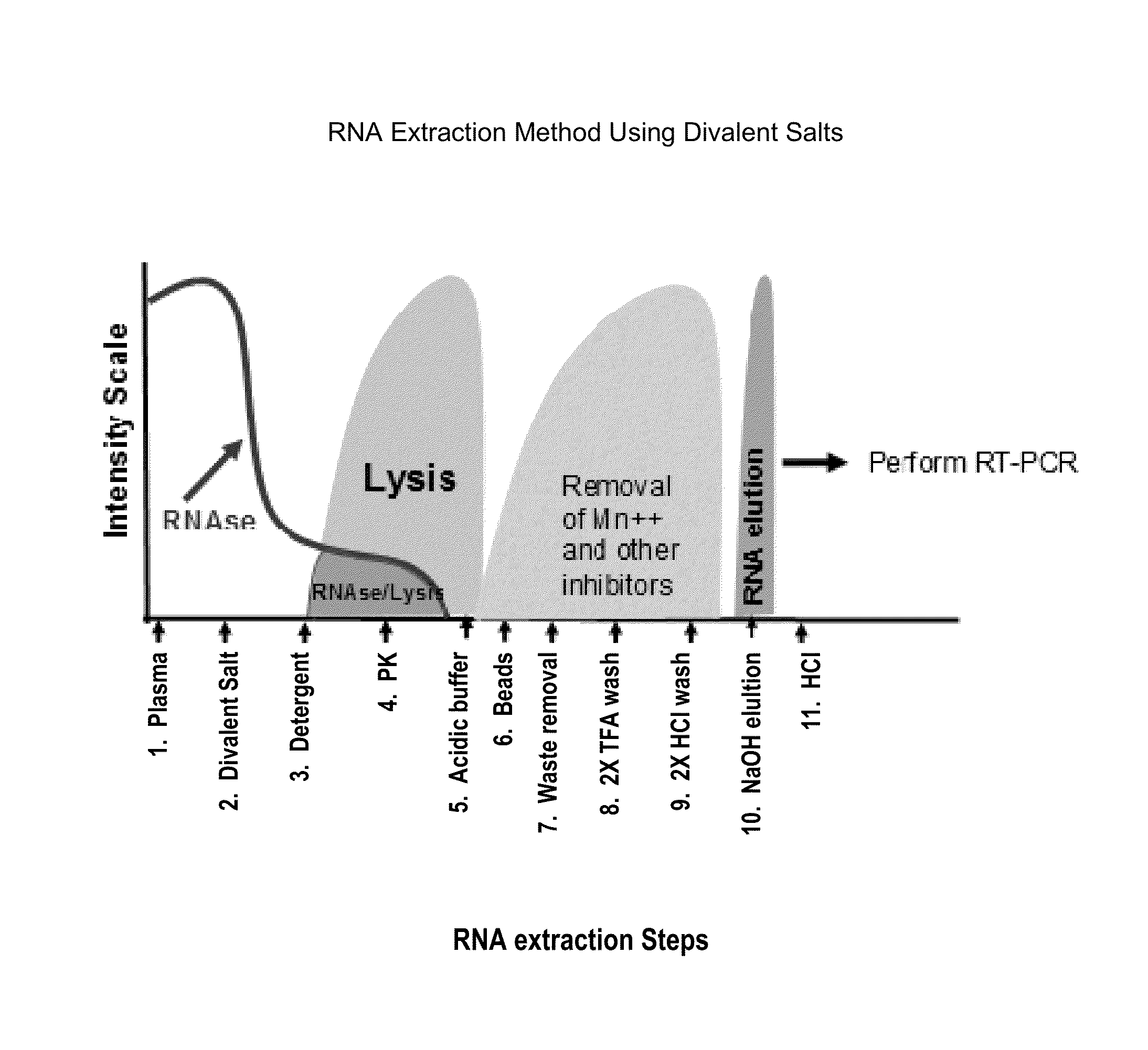 USE OF DIVALENT IONS, PROTEASES, DETERGENTS, AND LOW pH IN THE EXTRACTION OF NUCLEIC ACIDS