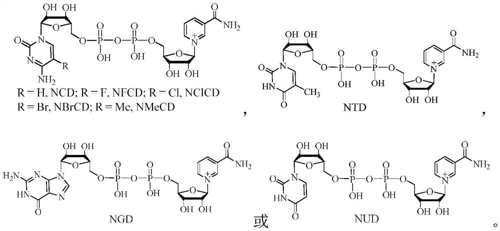 A kind of method of biocatalytic glycerol production 1,3-propanediol