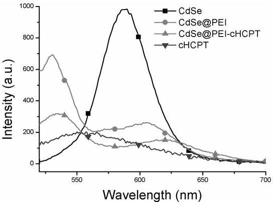 Polyethyleneimine modified quantum dot nanoparticle, preparation method thereof and application of polyethyleneimine modified quantum dot nanoparticle as nano-drug carrie