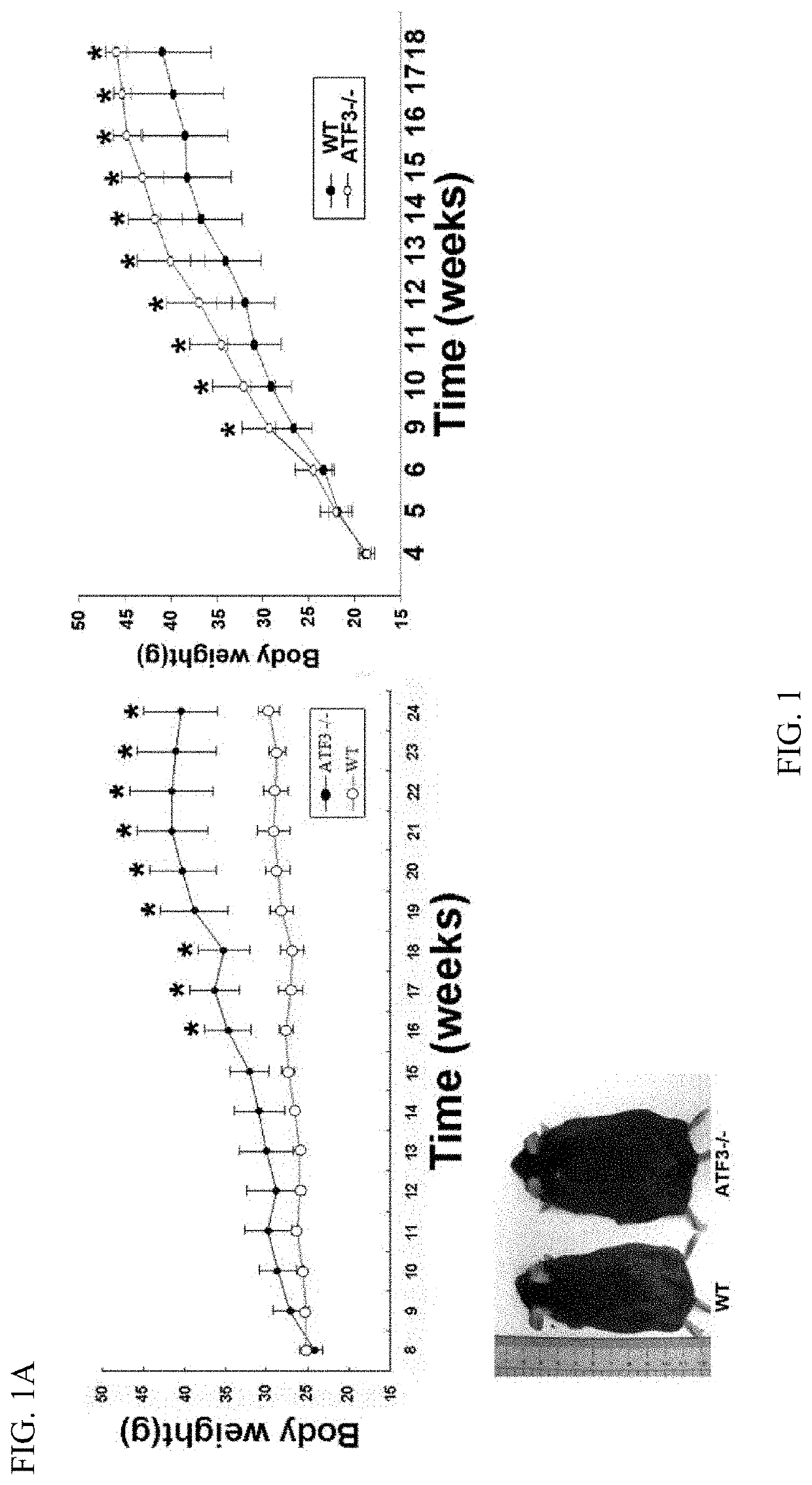 Atf3 induction compounds