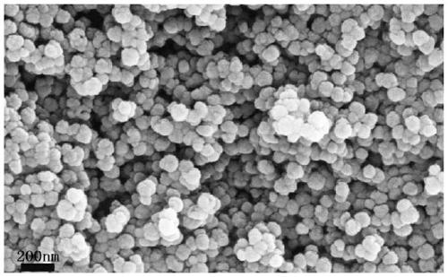 Preparation method of magnetic covalent organic framework molecularly imprinted polymer for separating anthocyanin