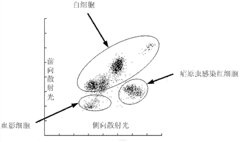Plasmodium infected erythrocyte identification method and device thereof