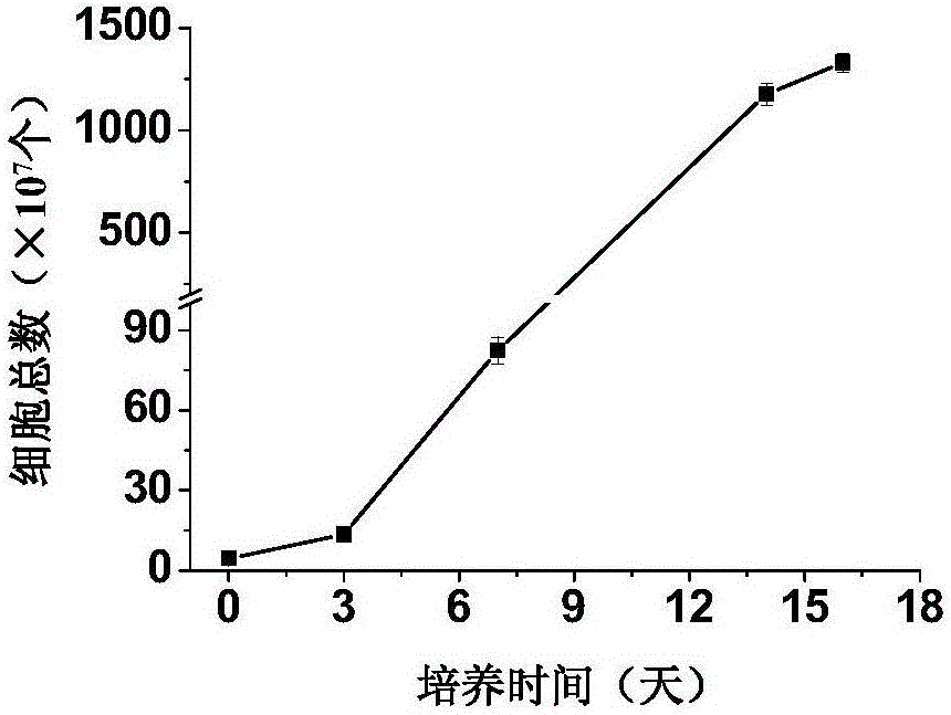 Medium for gamma delta T cells amplified in vitro and method