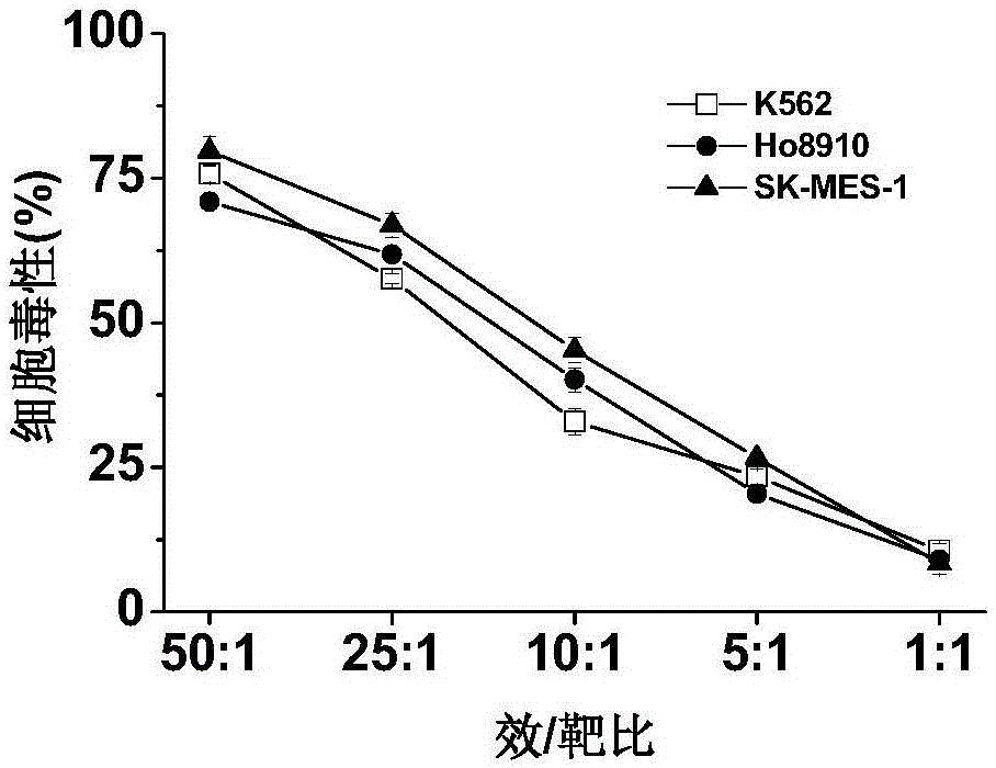 Medium for gamma delta T cells amplified in vitro and method