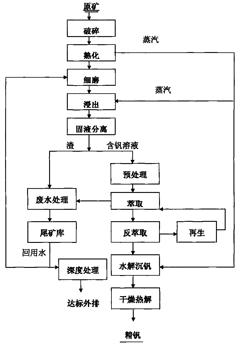 Process for extracting vanadium from stone coal by acid method for performing curing pretreatment on raw ore