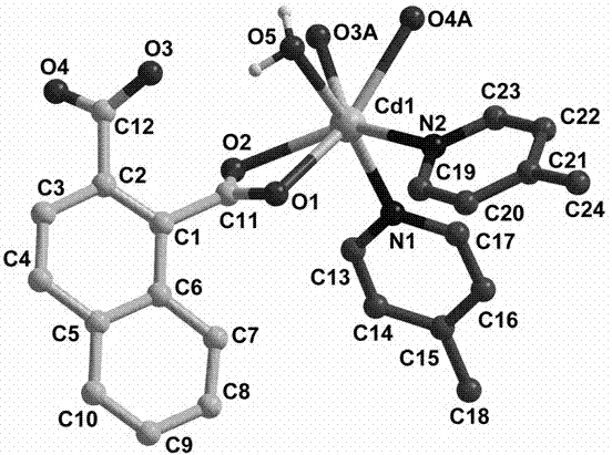1,2-naphthalene diacid containing cadmium coordination complex and preparation method thereof