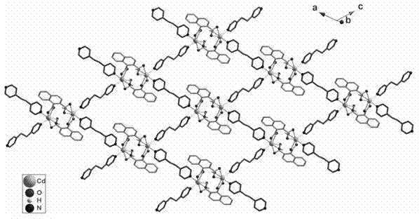 1,2-naphthalene diacid containing cadmium coordination complex and preparation method thereof