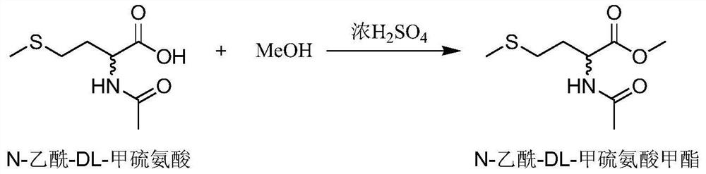 Application of a lipase in splitting n-acetyl-dl-methionine methyl ester