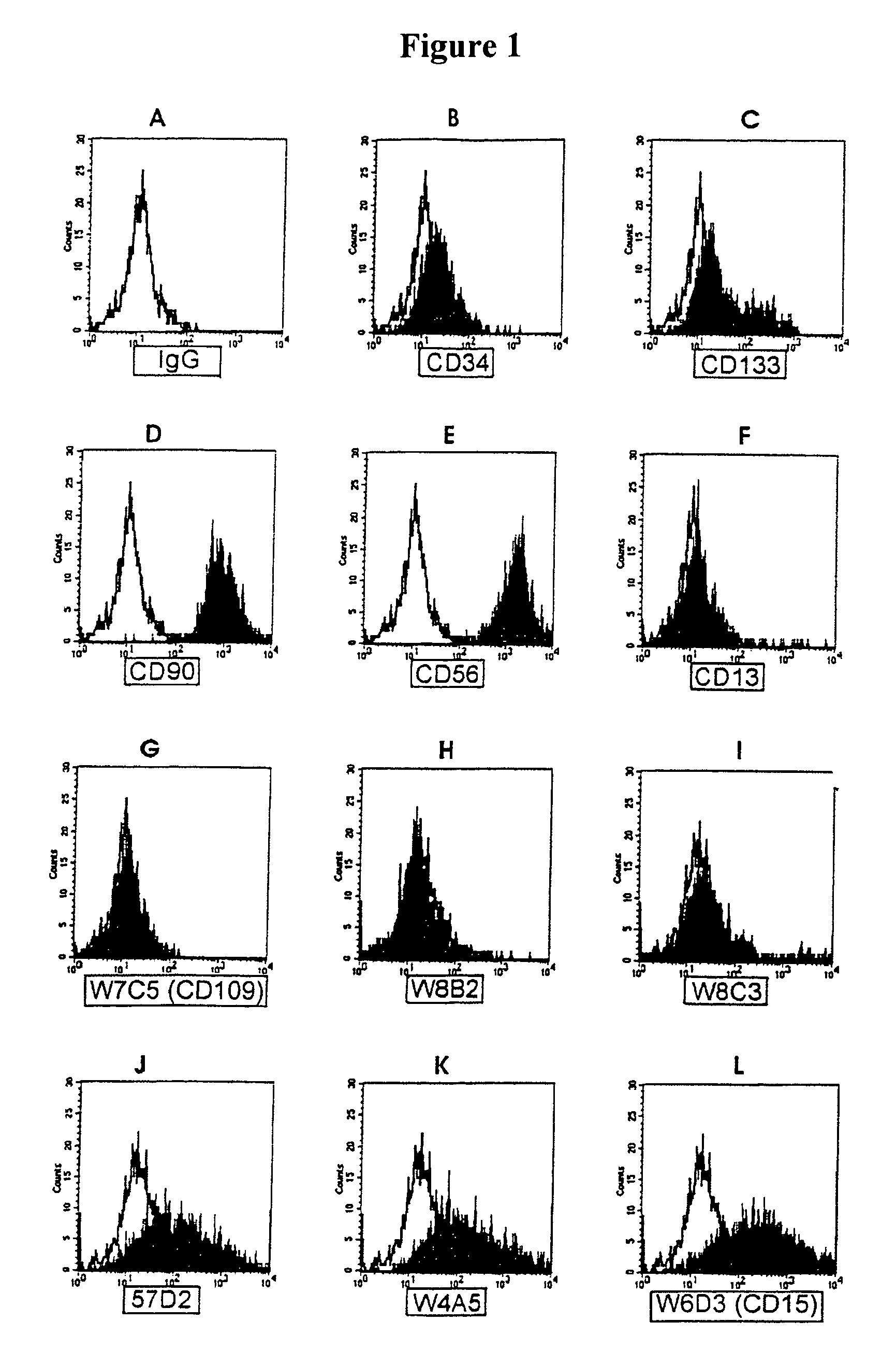 Antibodies isolating and/or identifying neuronal stem cells and method for isolating and/or identifying neuronal progenitor cells