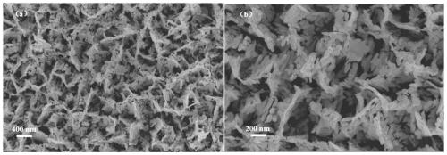 A kind of zno nanometer material, and preparation method thereof