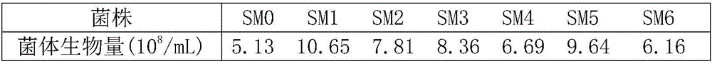 Serratia marcescens vaccine and preparation method and application thereof