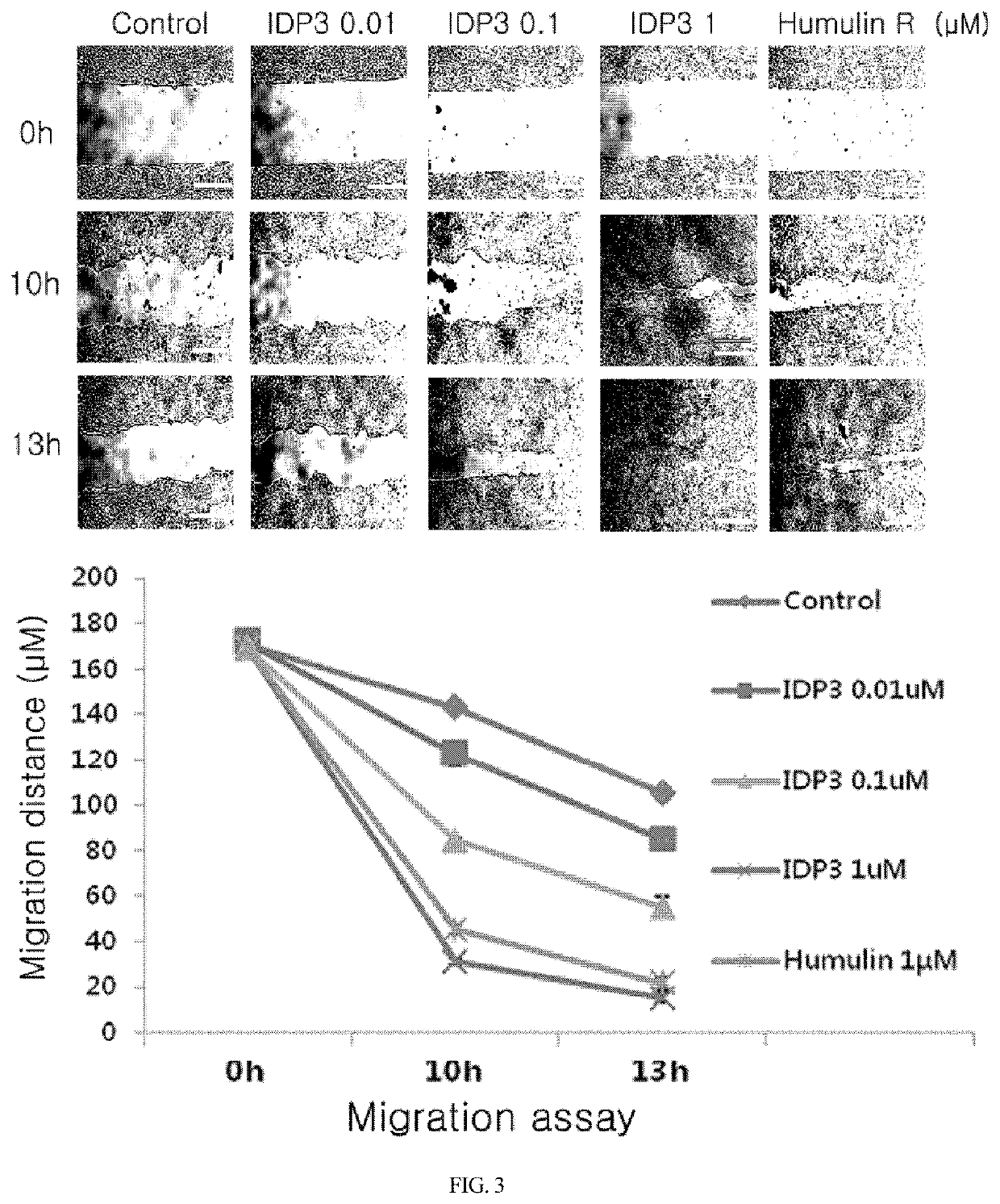 Insulin a-chain derived peptide fragment and pharmaceutical composition for preventing or treating diabetes or diabetic wounds, containing the same