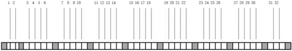 Kit for detecting 30 food allergen IgG antibodies and preparation method of kit