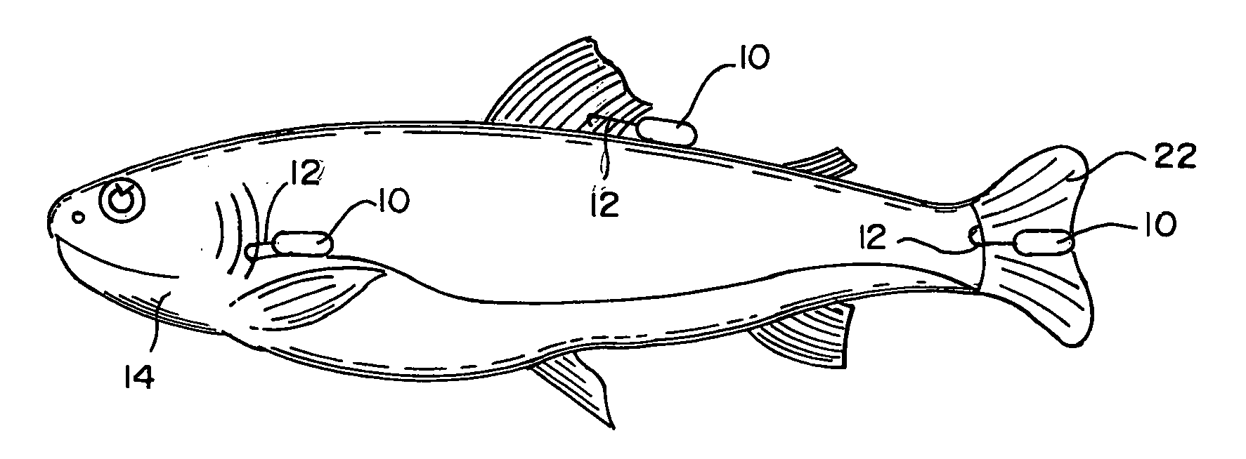 System for reducing the number of predator fish