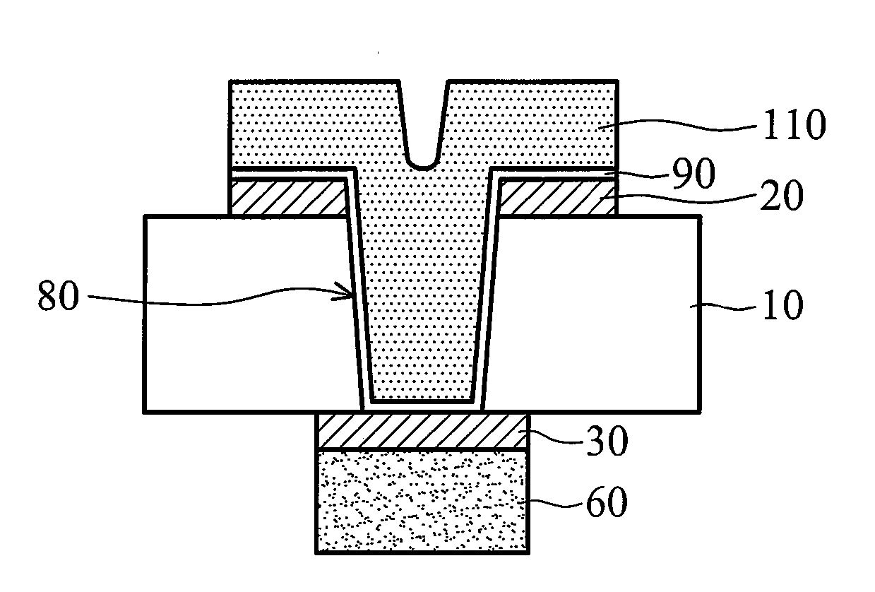 High density package substrate and method for fabricating the same