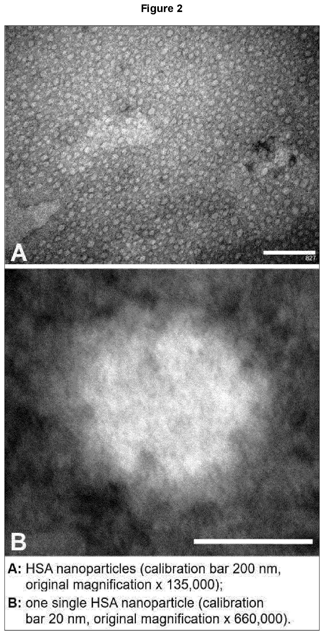 Targeted Nanoparticles of Well-Defined and Reproducible Sizes