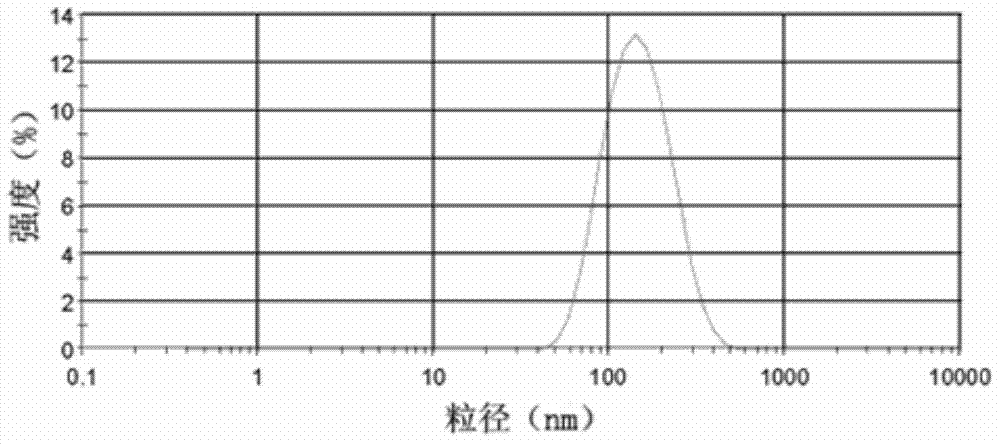 Multifunctional nanoparticle preparation capable of preventing drug tolerance and preparation method thereof