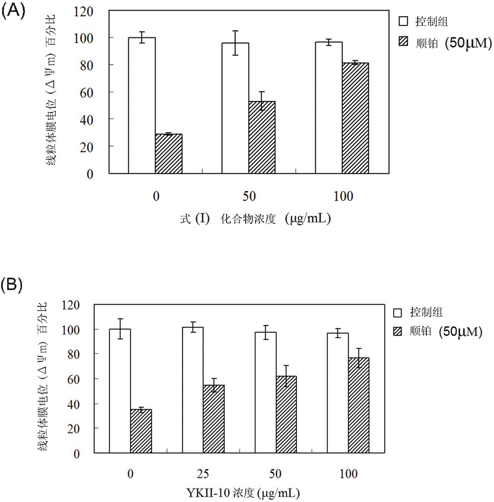 Novel triterpene compound and application thereof