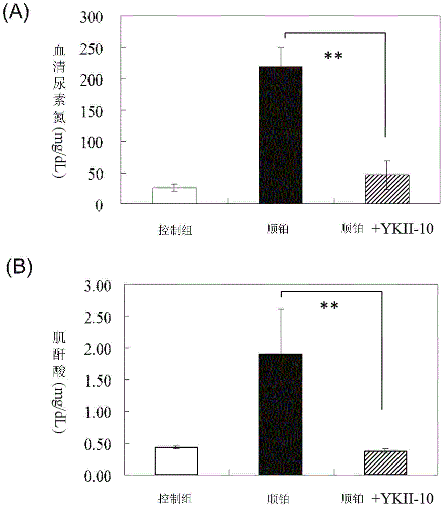 Novel triterpene compound and application thereof