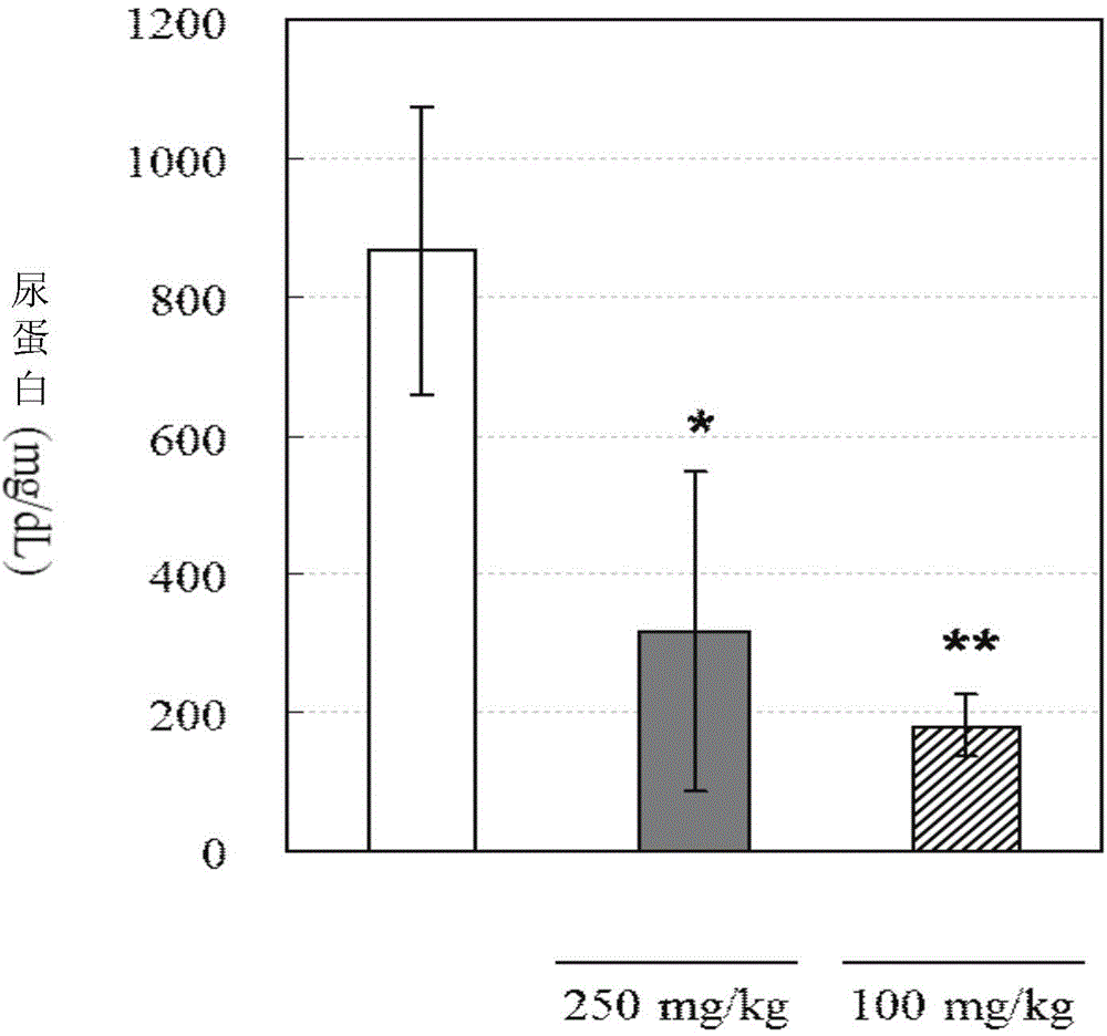 Novel triterpene compound and application thereof