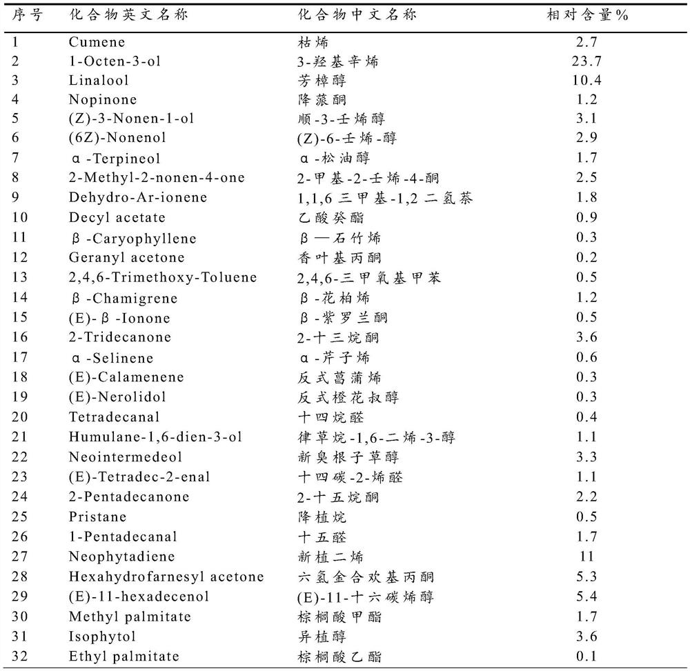 Viola diffusa volatile oil, extraction and purification method thereof and obtained antitumor drug