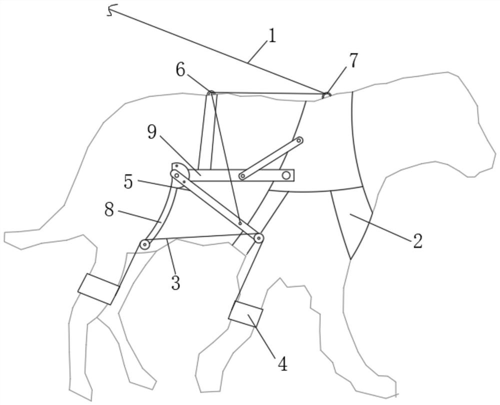 Traction device for medium and large dogs