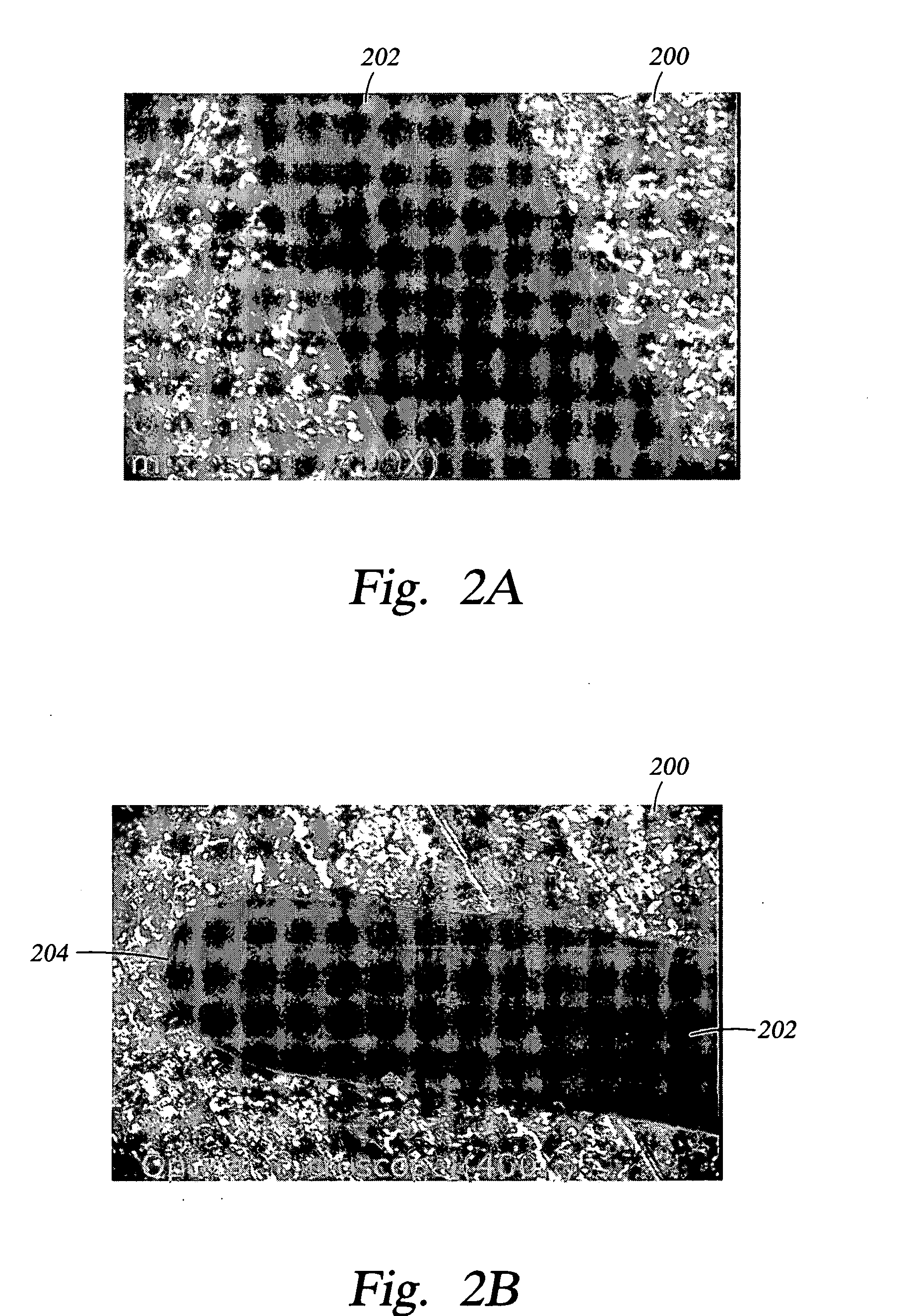 Gas distribution plate fabricated from a solid yttrium oxide-comprising substrate