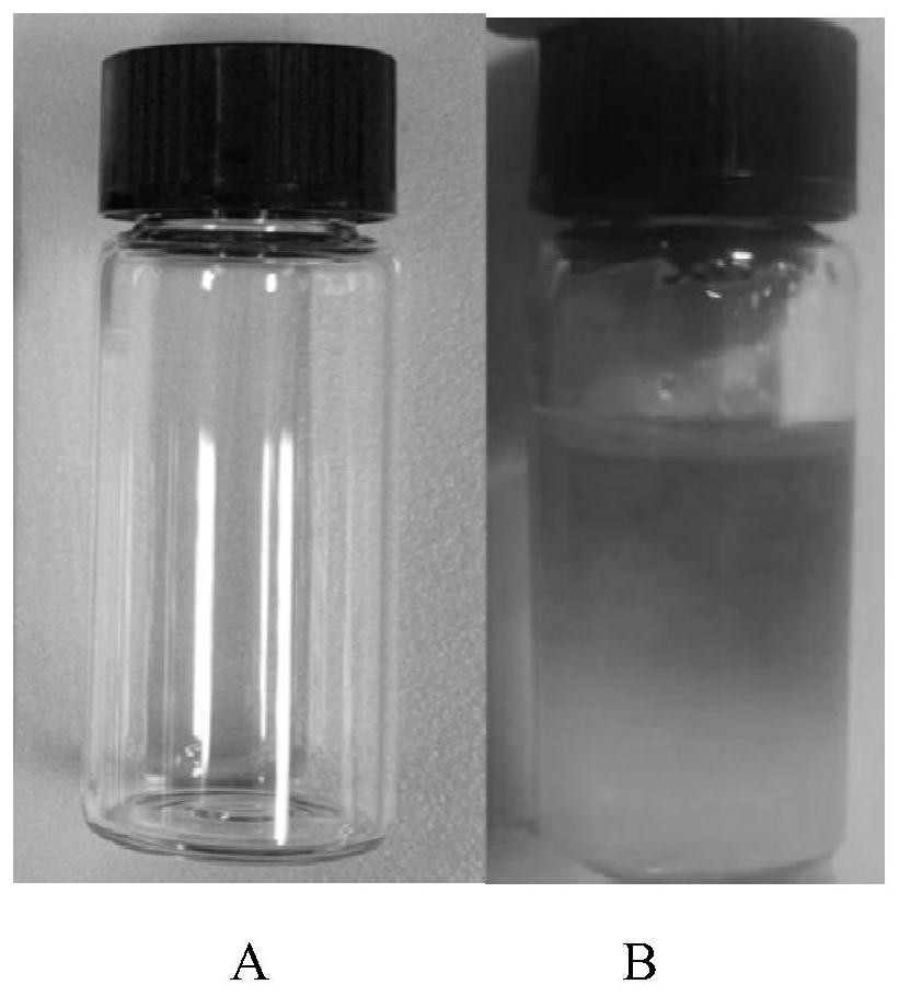 Injectable decellularized scaffold for cartilage repair as well as preparation method and application of injectable decellularized scaffold