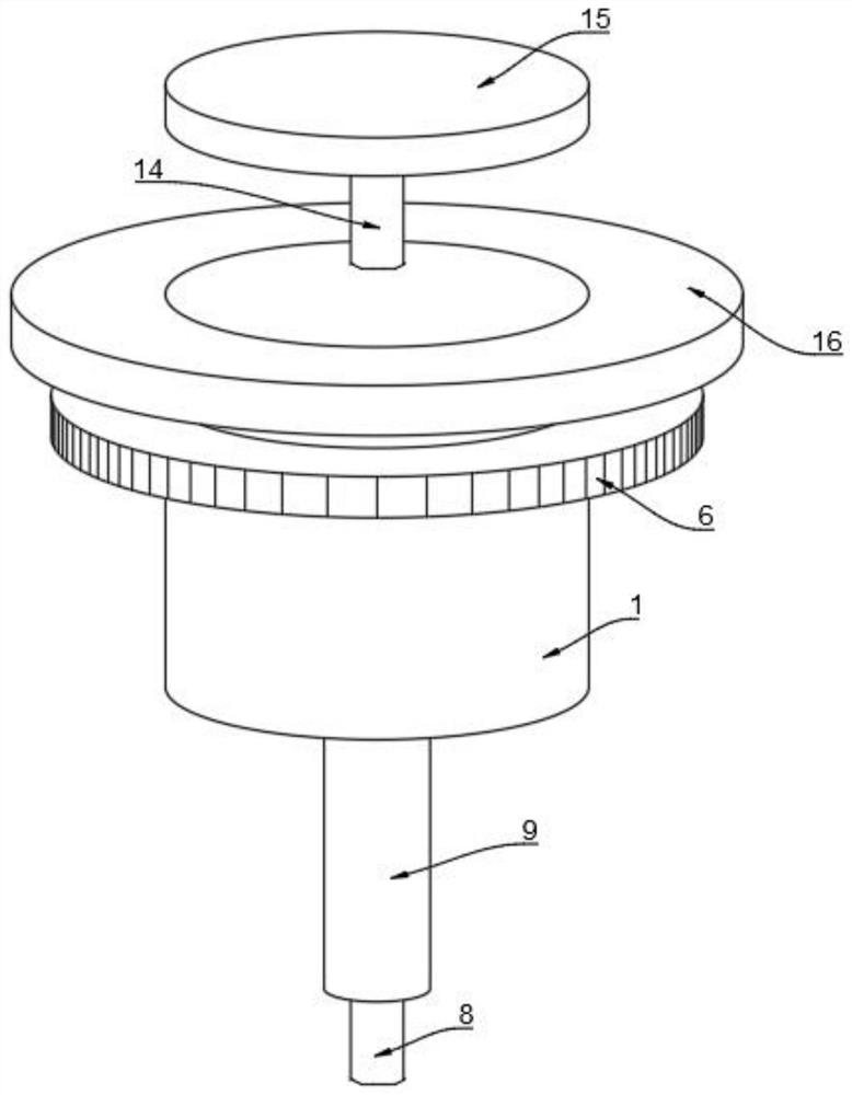 Eustachian tube examination and treatment device