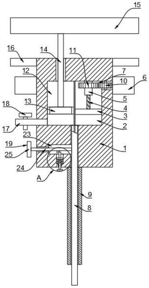 Eustachian tube examination and treatment device