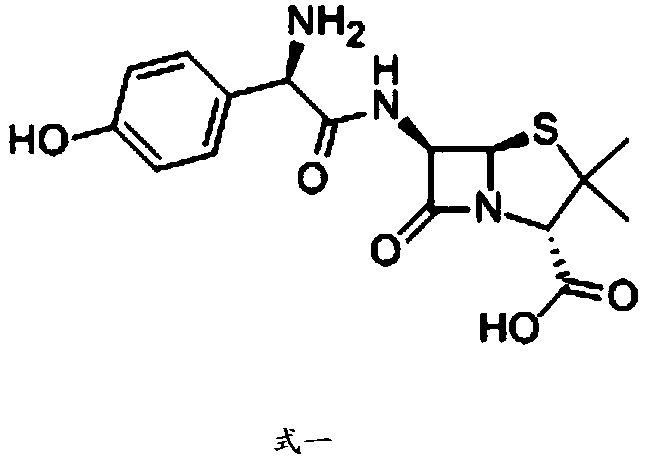 Amoxicillin tablets and preparation method thereof